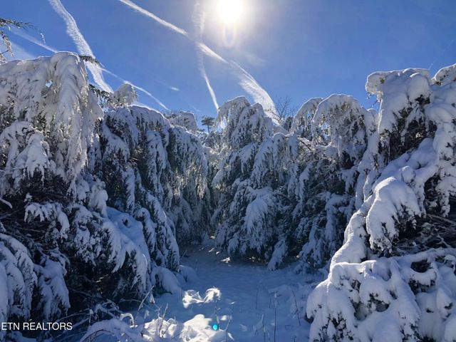 0 Thorngrove Pike, Strawberry Plains, TN 37871