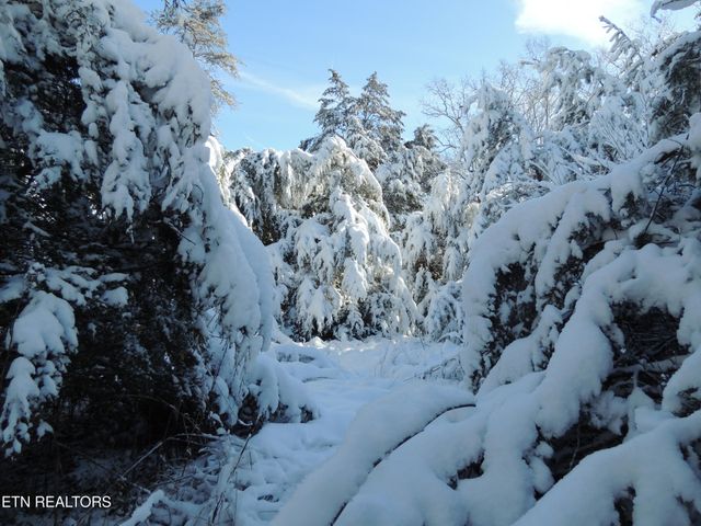 0 Thorngrove Pike, Strawberry Plains, TN 37871