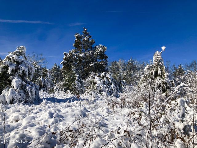 0 Thorngrove Pike, Strawberry Plains, TN 37871