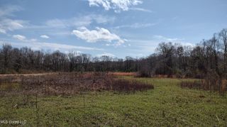 No Archie Wheat Road, Poplarville, MS 39470