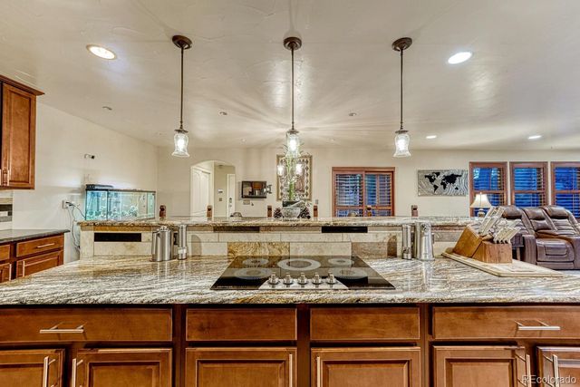 1023 S Locust Street, Denver, CO 80224