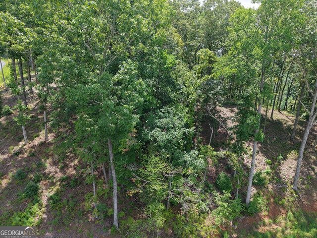 297 Pebble Trace, Talking Rock, GA 30175