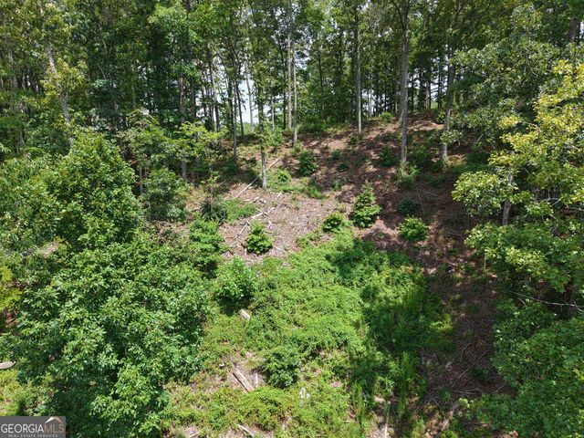 297 Pebble Trace, Talking Rock, GA 30175
