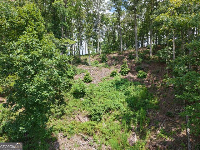 297 Pebble Trace, Talking Rock, GA 30175