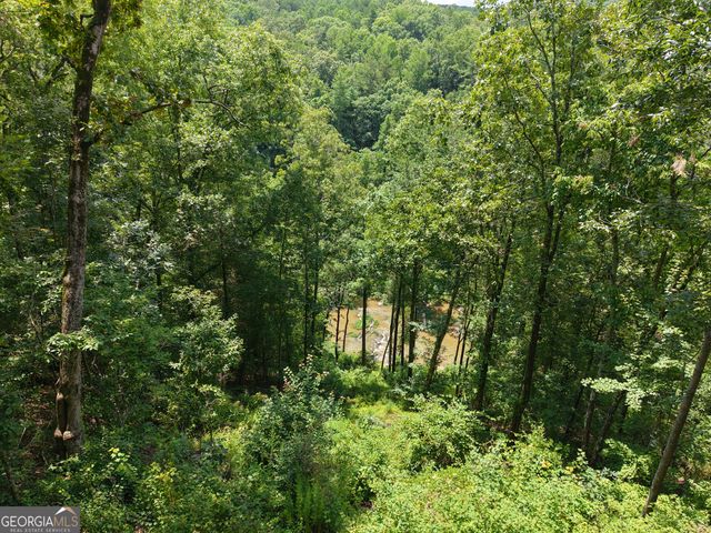 297 Pebble Trace, Talking Rock, GA 30175
