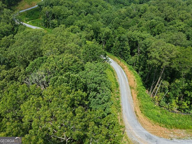 297 Pebble Trace, Talking Rock, GA 30175