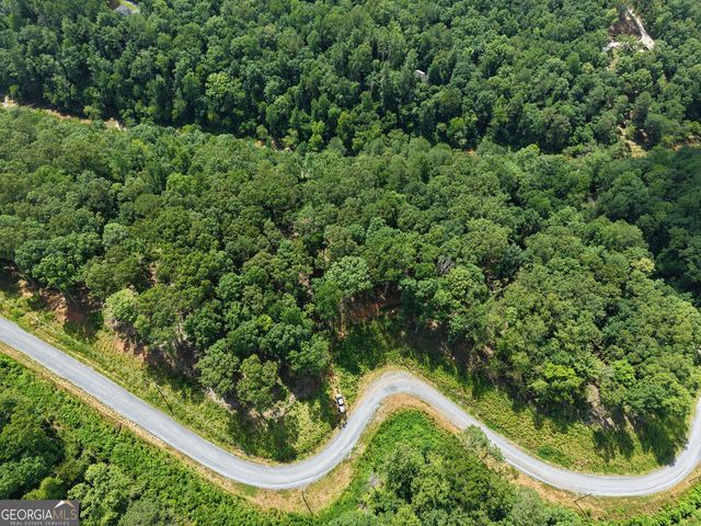 297 Pebble Trace, Talking Rock, GA 30175