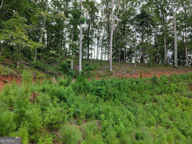 297 Pebble Trace, Talking Rock, GA 30175