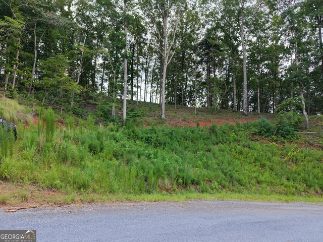 297 Pebble Trace, Talking Rock, GA 30175