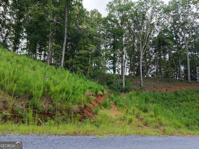 297 Pebble Trace, Talking Rock, GA 30175