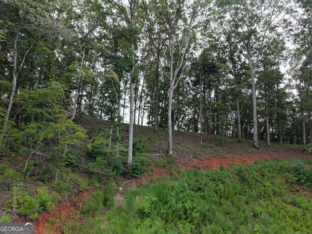 297 Pebble Trace, Talking Rock, GA 30175