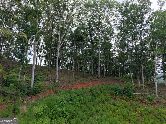 297 Pebble Trace, Talking Rock, GA 30175