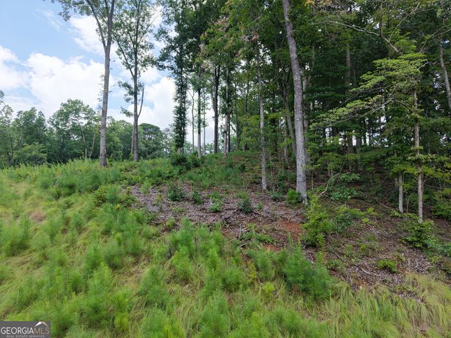 297 Pebble Trace, Talking Rock, GA 30175