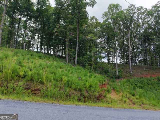 297 Pebble Trace, Talking Rock, GA 30175