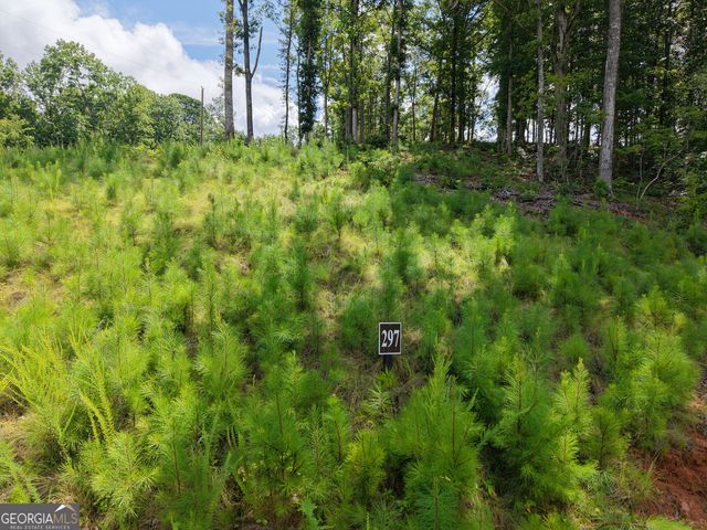 297 Pebble Trace, Talking Rock, GA 30175