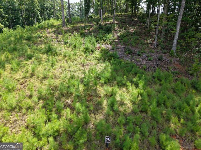 297 Pebble Trace, Talking Rock, GA 30175