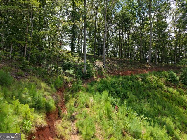 297 Pebble Trace, Talking Rock, GA 30175