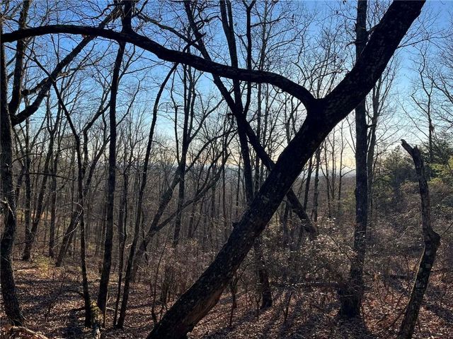 1171 Hunter Drive, Ranger, GA 30734