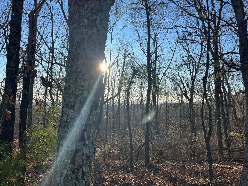 1171 Hunter Drive, Ranger, GA 30734