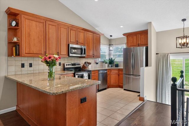 12900 Springdale Village Drive, St Louis, MO 63146