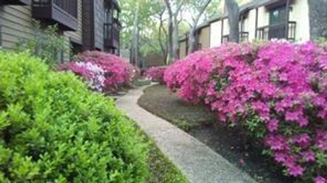 11711 Memorial Drive 570, Houston, TX 77024