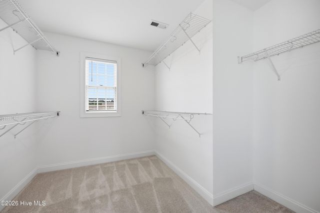2412 Great Laurel Court, Greenville, NC 27834