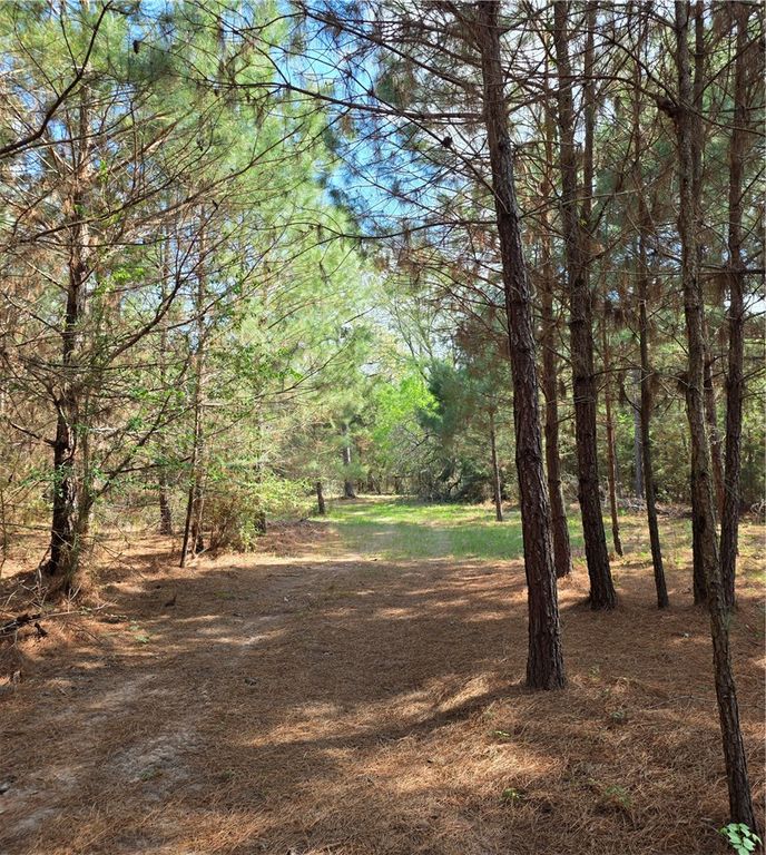 9118 Hazy Hollow Lane, Anderson, TX 77830 — exterior