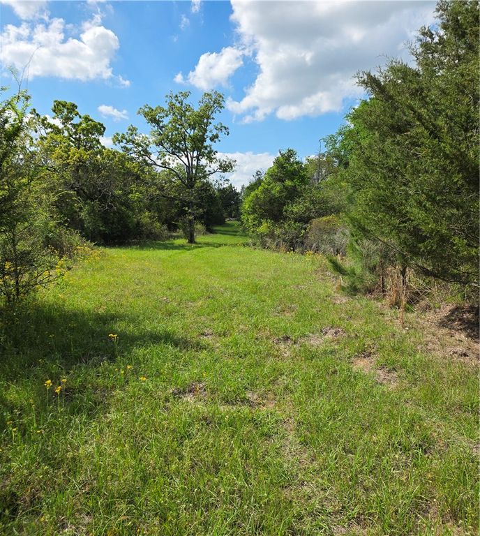 9118 Hazy Hollow Lane, Anderson, TX 77830 — photo 3