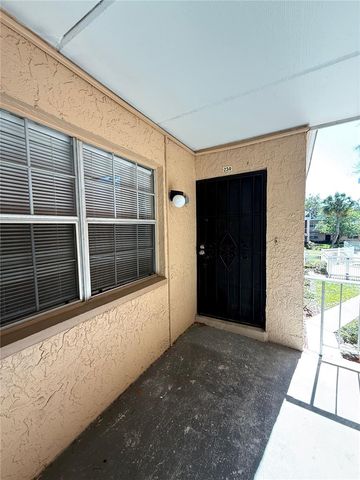 4725 JOSEPH COURT 234, Tampa, FL 33614