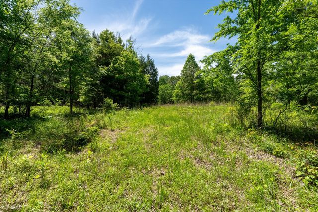458 Norris Hancock Rd, Big Rock, TN 37023