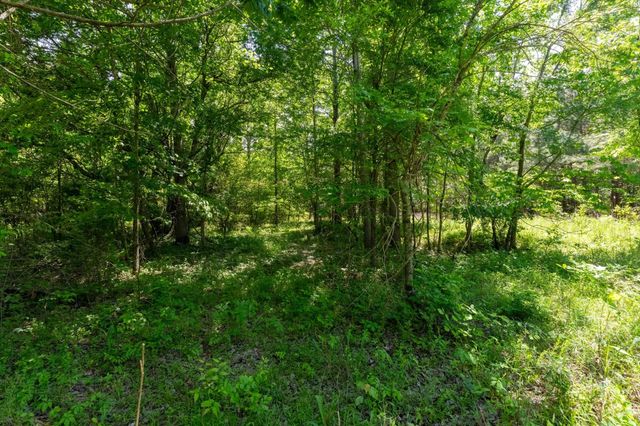458 Norris Hancock Rd, Big Rock, TN 37023