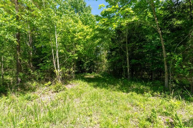458 Norris Hancock Rd, Big Rock, TN 37023