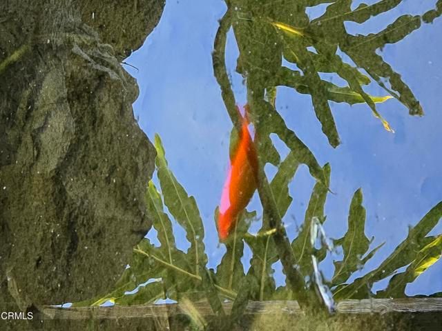 813 Santa Ana Boulevard, Oak View, CA 93022