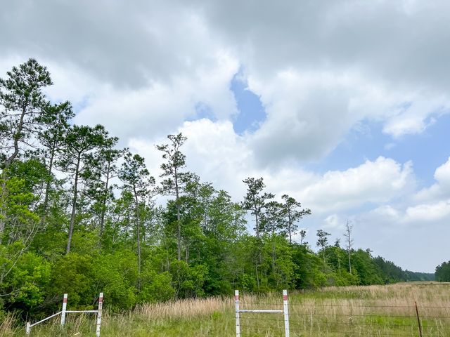 00000 Cravens Camp Rd., Silsbee, TX 77656