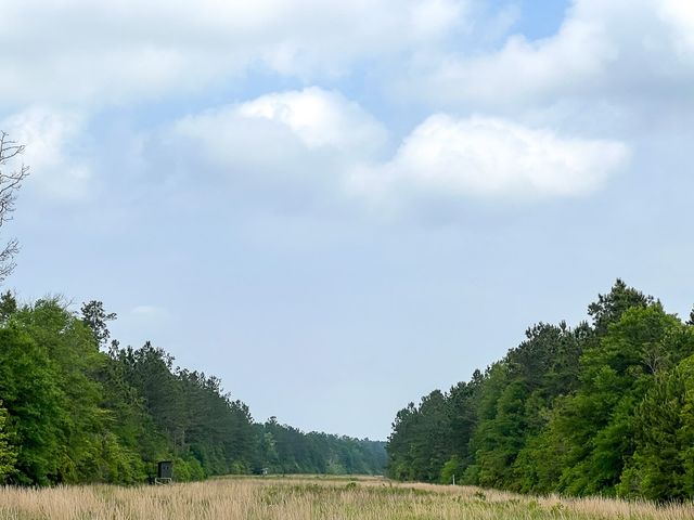 00000 Cravens Camp Rd., Silsbee, TX 77656
