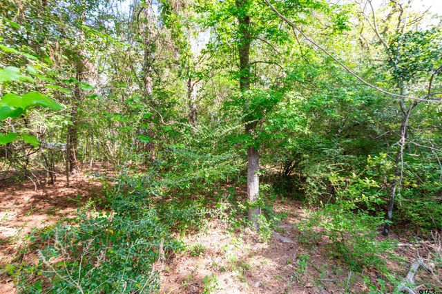 101 Westway Dr, Bullard, TX 75757