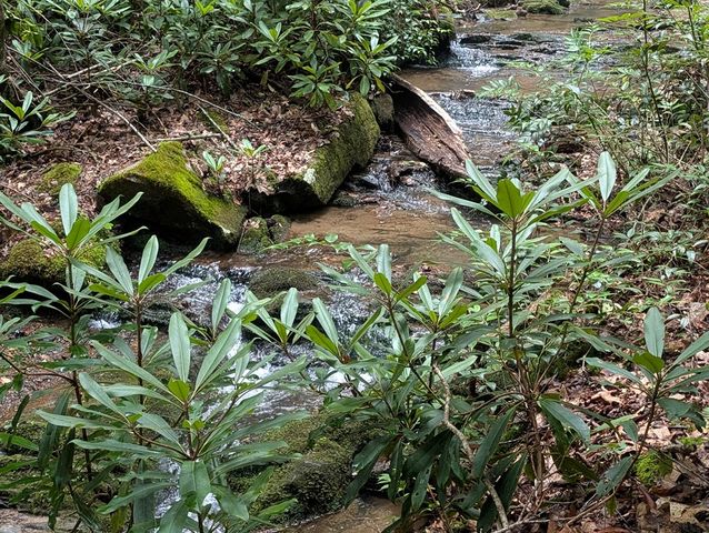 1&2 Water View Lane, Hayesville, NC 28904