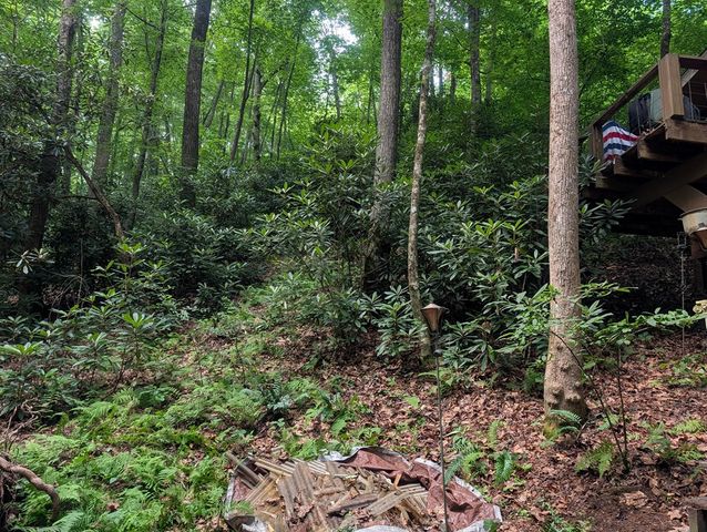 1&2 Water View Lane, Hayesville, NC 28904