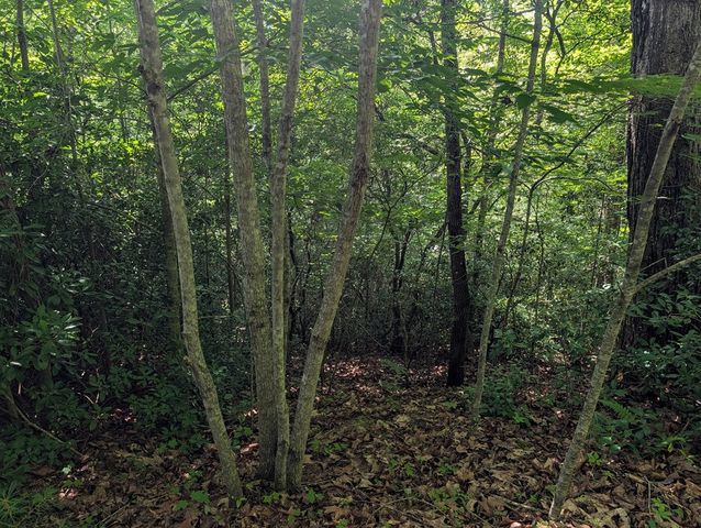 1&2 Water View Lane, Hayesville, NC 28904