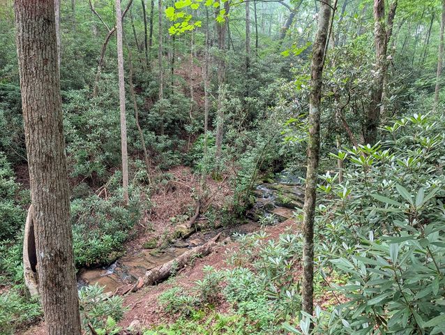 1&2 Water View Lane, Hayesville, NC 28904