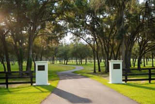 160TH, Reddick, FL 32686