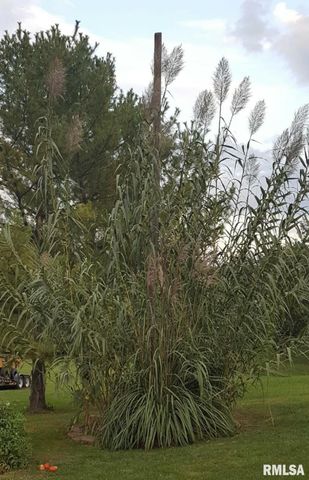 706 N STATE Street, Roanoke, IL 61561