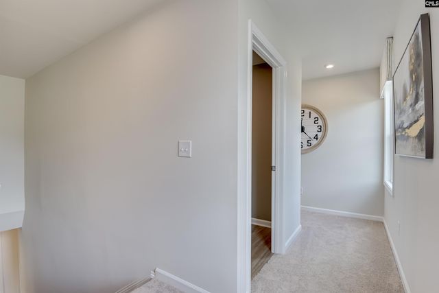 327 Granny's Cut Way, Chapin, SC 29036