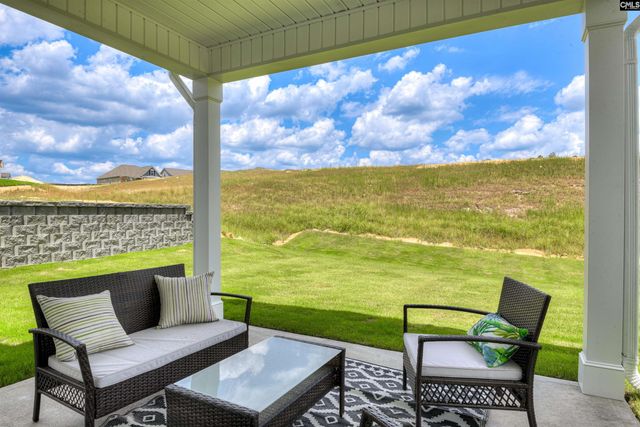 327 Granny's Cut Way, Chapin, SC 29036