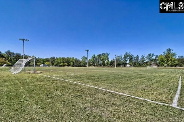 327 Granny's Cut Way, Chapin, SC 29036