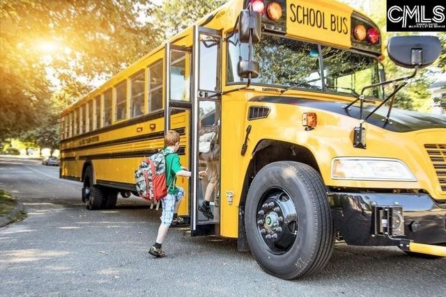 327 Granny's Cut Way, Chapin, SC 29036