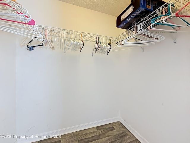 12536 Corrine Avenue, Spring Hill, FL 34609