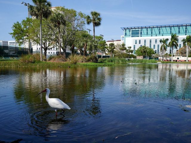 516 LAUREL PARK DRIVE, Sarasota, FL 34236