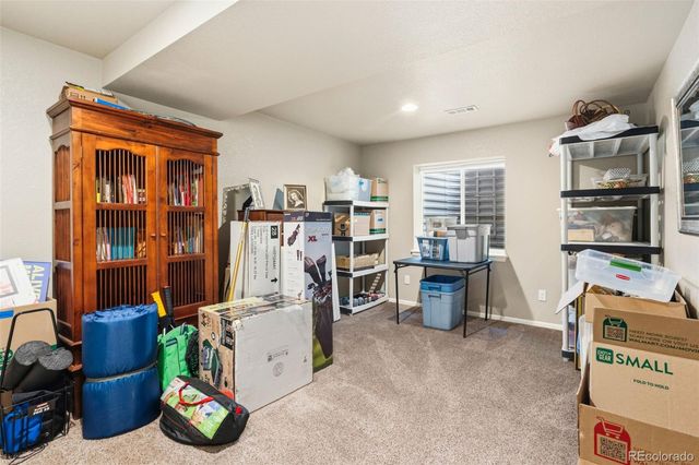 2124 Longfin Court, Windsor, CO 80550