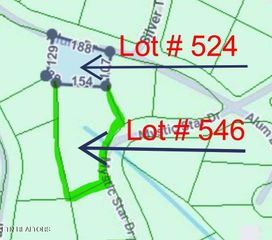 Alum Dr Lot #524 Drive, New Tazewell, TN 37825